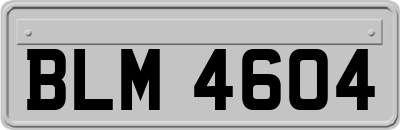 BLM4604