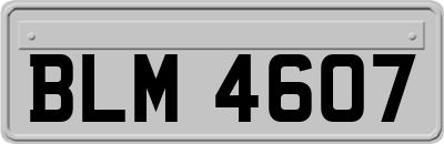 BLM4607
