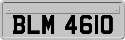 BLM4610
