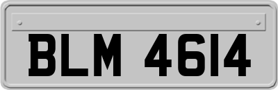 BLM4614
