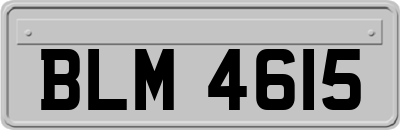BLM4615