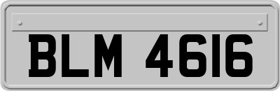 BLM4616