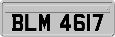BLM4617