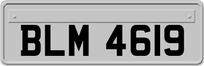 BLM4619