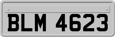 BLM4623