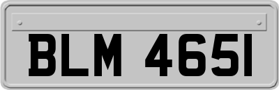 BLM4651