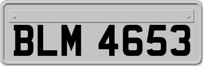 BLM4653