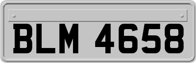 BLM4658