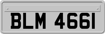 BLM4661