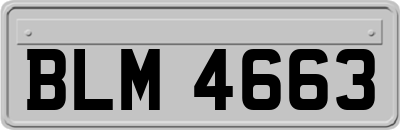 BLM4663