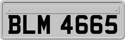 BLM4665