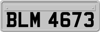 BLM4673
