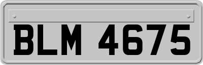 BLM4675