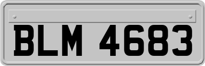 BLM4683