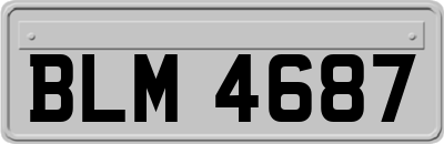 BLM4687
