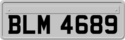 BLM4689