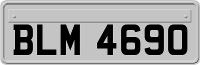 BLM4690