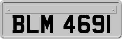 BLM4691