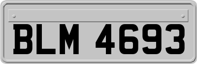 BLM4693