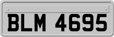 BLM4695