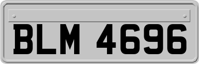 BLM4696