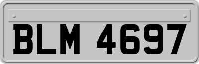 BLM4697