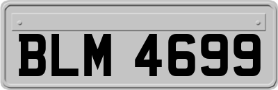 BLM4699