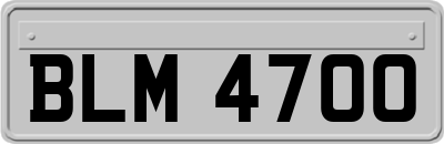 BLM4700