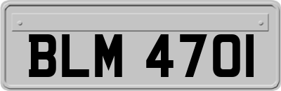 BLM4701