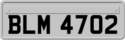 BLM4702
