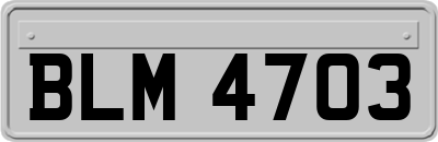 BLM4703