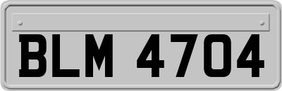 BLM4704