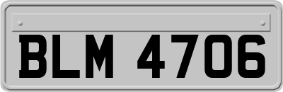 BLM4706