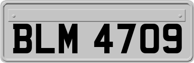 BLM4709