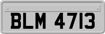 BLM4713