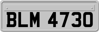 BLM4730