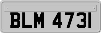 BLM4731