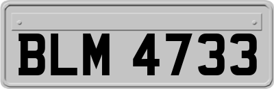 BLM4733