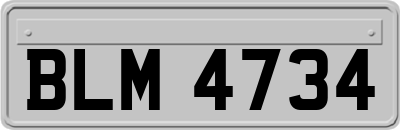 BLM4734