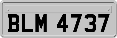 BLM4737