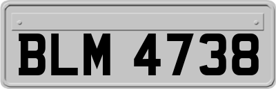 BLM4738
