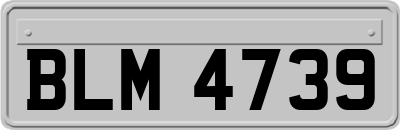 BLM4739