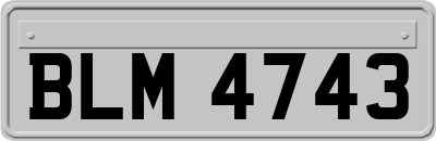 BLM4743