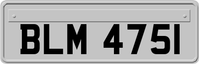 BLM4751