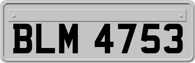 BLM4753