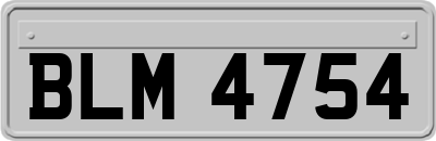 BLM4754