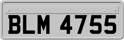 BLM4755