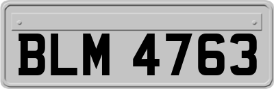 BLM4763