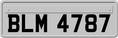 BLM4787