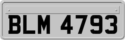 BLM4793